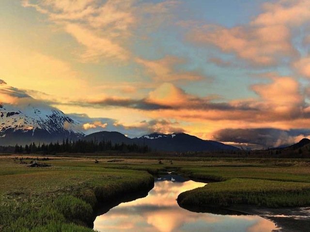 Năm ngoái Ive cũng đã đi nghỉ ở Seward, Alaska