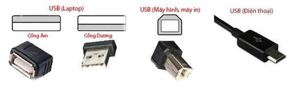 hình dạng các cổng usb hình dạng các cổng usb