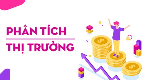 Phân tích thị trường