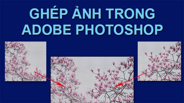 Cách ghép người, hoa lá, mây trời vào ảnh bằng Photoshop trên máy tính