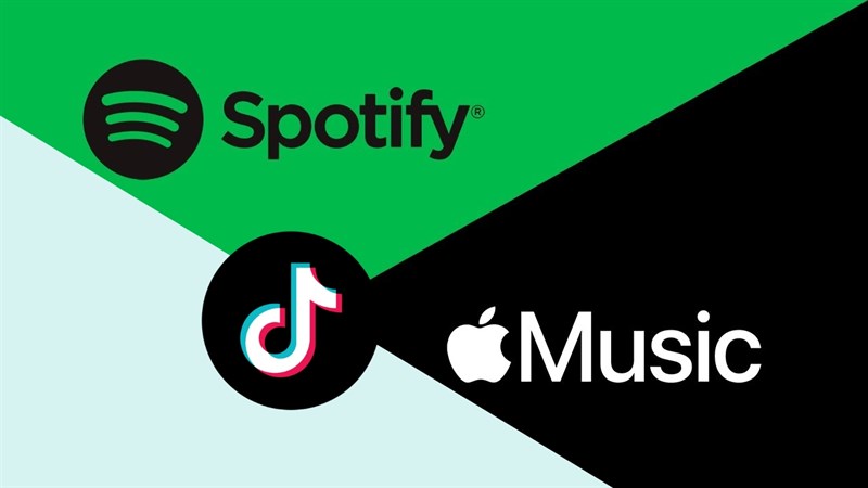 Người dùng có thể lưu trực tiếp các bài hát từ TikTok vào Apple Music và Spotify