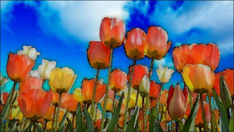 Cách làm tranh màu nước bằng Photoshop từ ảnh thật Cách làm tranh màu nước bằng Photoshop từ ảnh thật