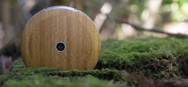 Runcible