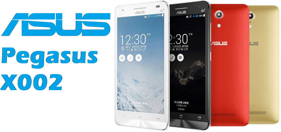 Asus Pegasus X003A Asus Pegasus X003A