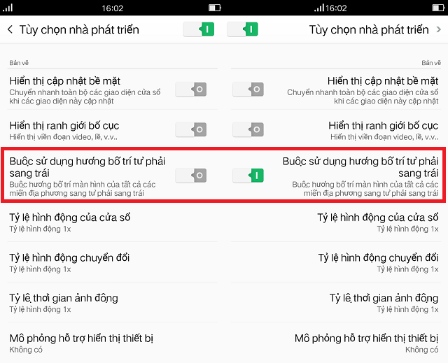 botrituphaisangtrai botrituphaisangtrai