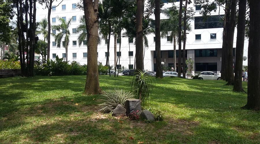 Ảnh ngoài trời Ảnh ngoài trời