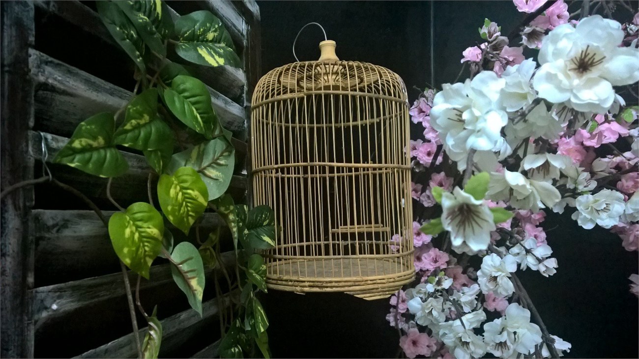 Ảnh chụp trong phòng Ảnh chụp trong phòng