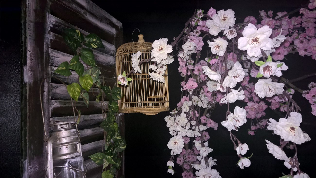 Thử nghiệm camera sau với đèn flash kép Thử nghiệm camera sau với đèn flash kép