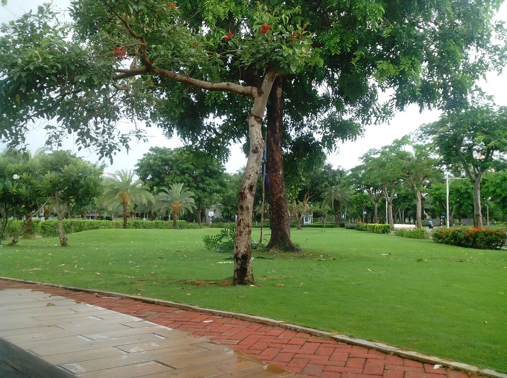  nguoc-sang