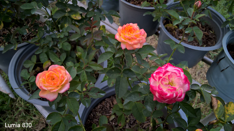camera lumia 830 camera lumia 830