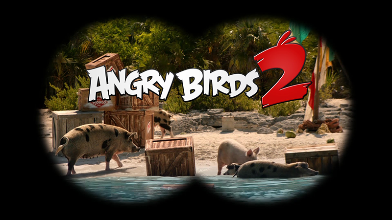 Angry Bird Angry Bird