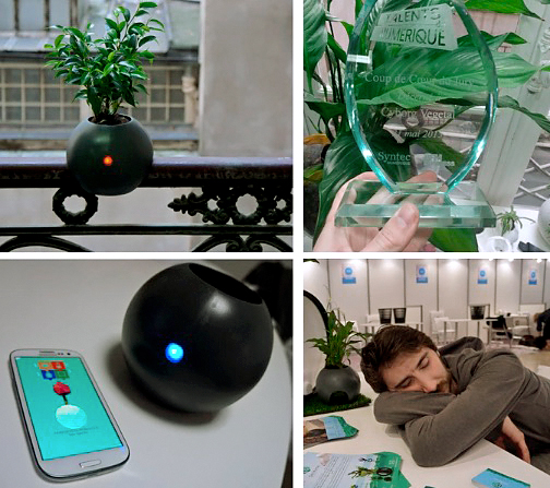 Chậu cây thông minh Biom kickstarter Chậu cây thông minh Biom kickstarter