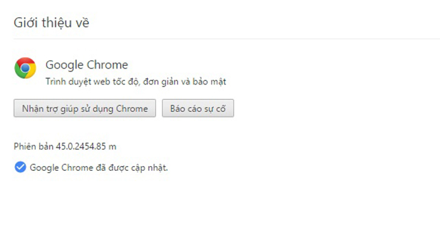 Google Chrome Google Chrome