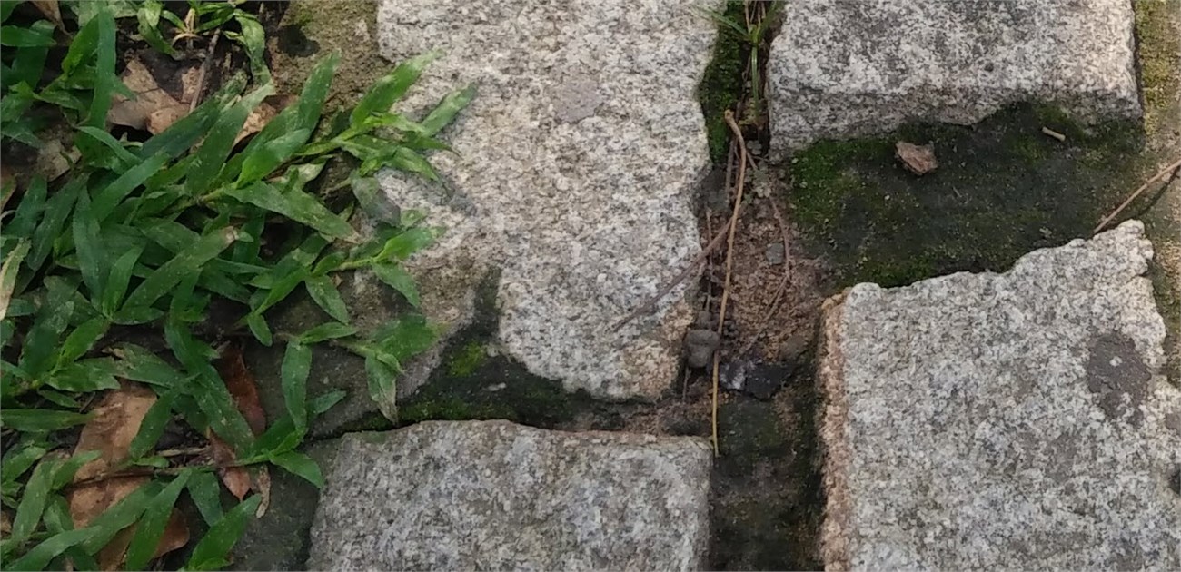 2015-09-17_22-44-26_crop100 2015-09-17_22-44-26_crop100