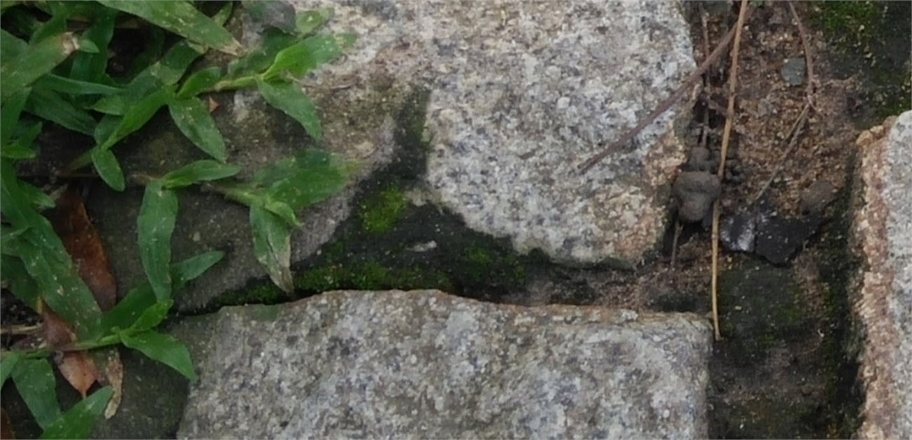 2015-09-17_22-44-58_crop100 2015-09-17_22-44-58_crop100