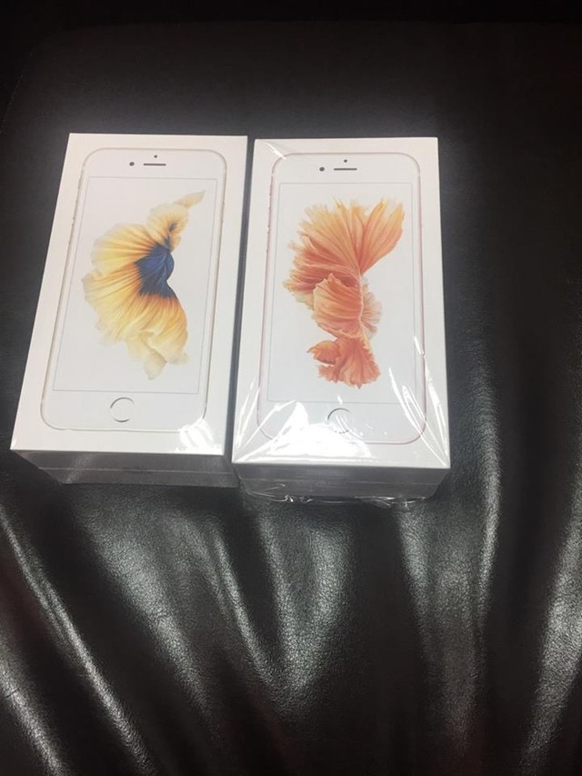 Ảnh chụp từ lô iPhone 6s, 6s Plus của thương gia Việt 2