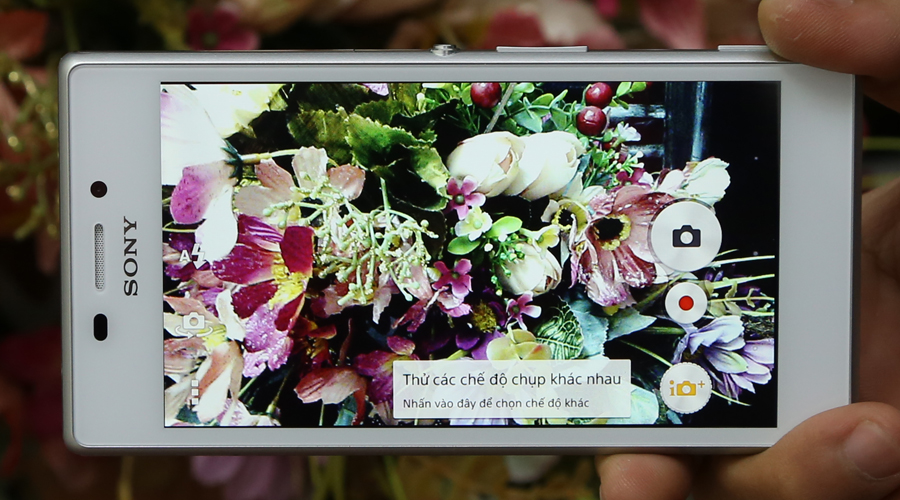 Sony Xperia M2