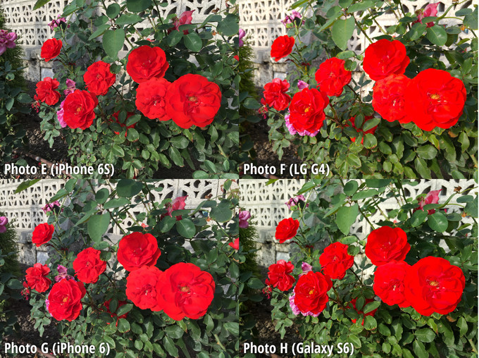iPhone 6s và Galaxy S6 iPhone 6s và Galaxy S6