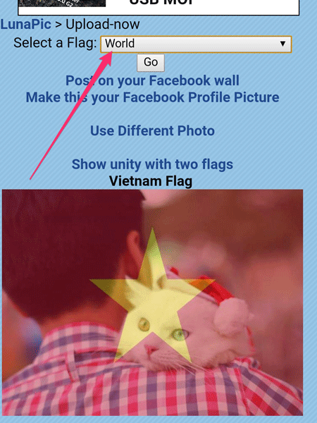 Flag Facebook Avatar Facebook