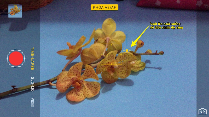 Điều chỉnh ánh sáng Điều chỉnh ánh sáng
