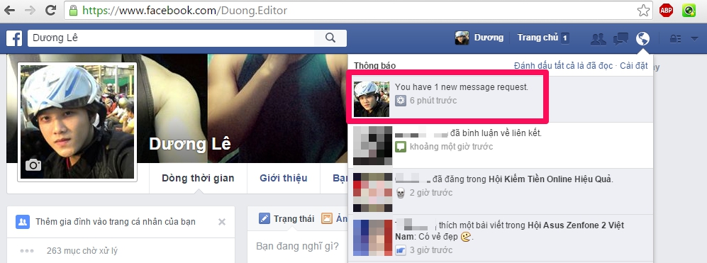 Sao Facebook không Việt hóa hẳn luôn câu: You have 1 new message requests?