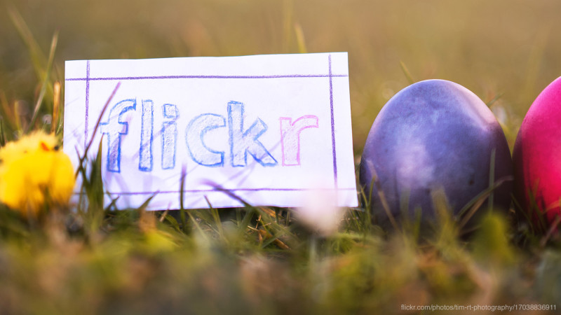 iPhone đang thống trị Flickr iPhone đang thống trị Flickr