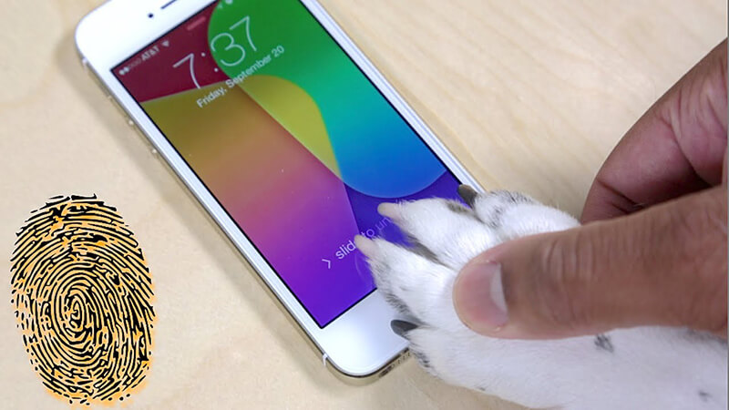 Touch Id sẽ phổ biên