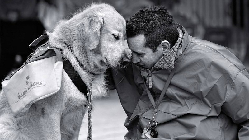 Dog Dog