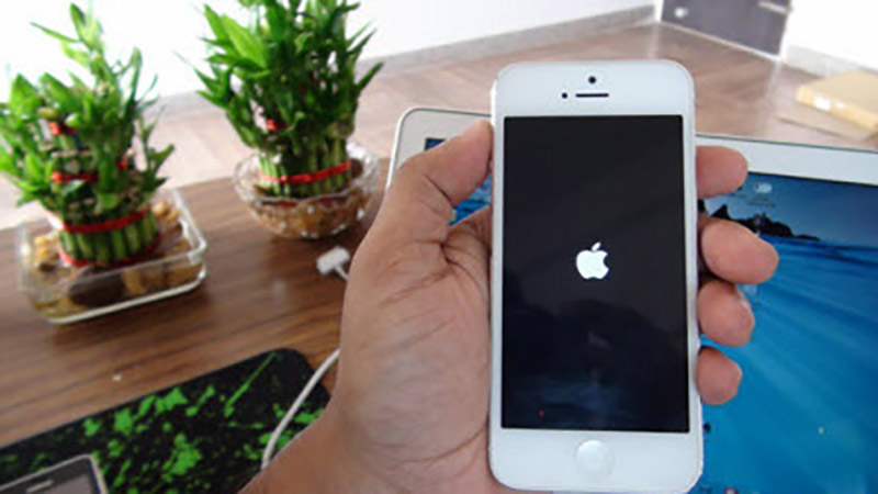 iPhone iPhone