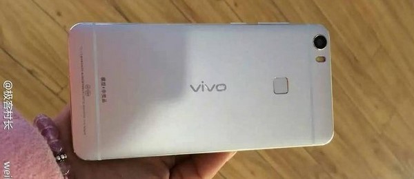vivoxplay5 vivoxplay5