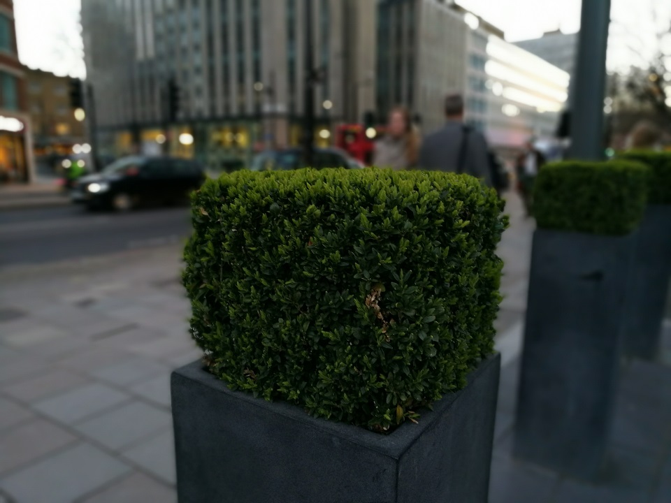 4 4