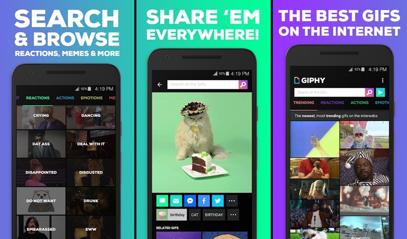 GIPHY GIPHY