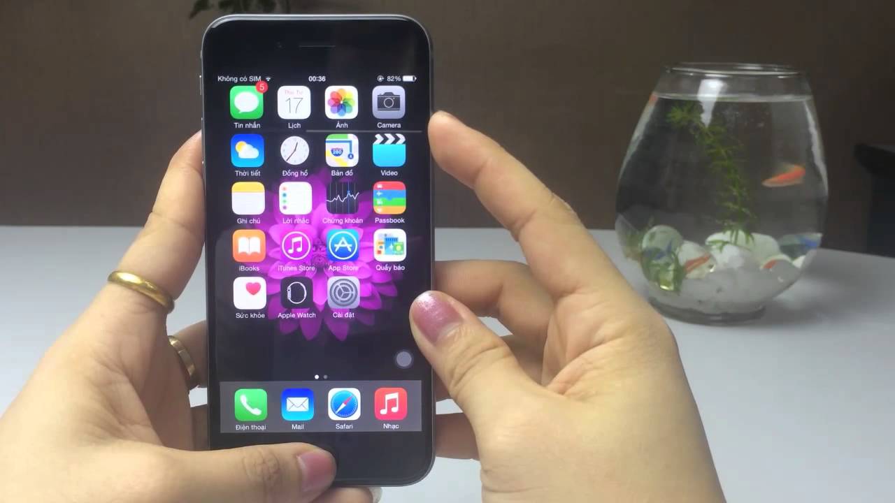 iphone iphone