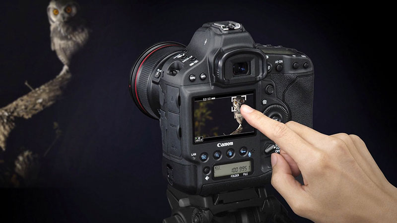 Full Frame Full Frame