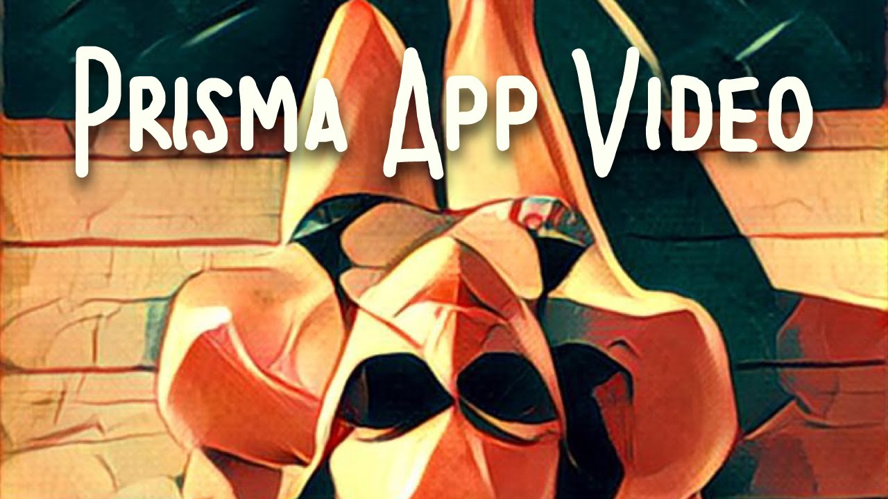 Prisma đã hot, sắp tới sẽ còn hot hơn nữa nhờ tính năng mới