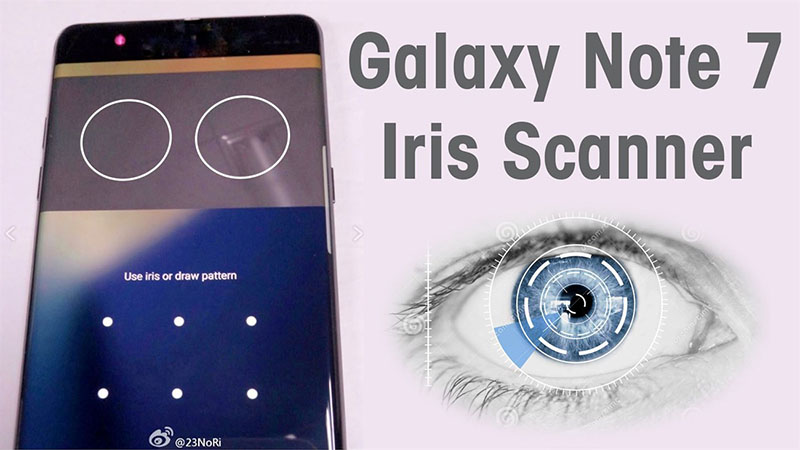 Iris Iris