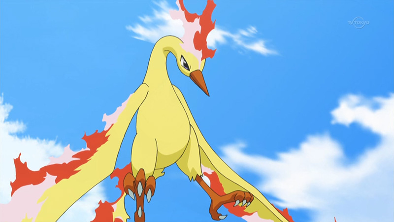 Moltres Moltres