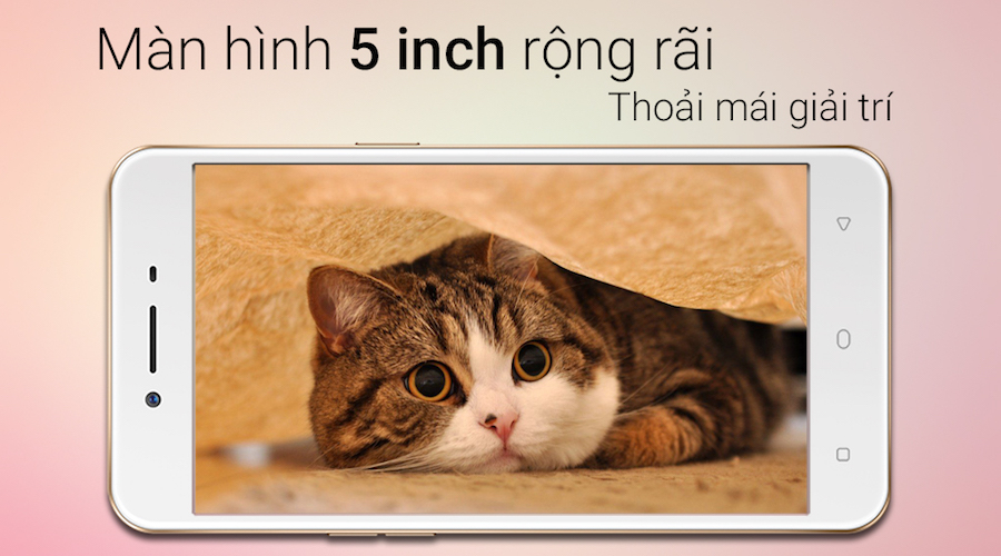 OPPO A37 bán được tới 8.000 chiếc trong một tuần tại TGDĐ OPPO A37 bán được tới 8.000 chiếc trong một tuần tại TGDĐ
