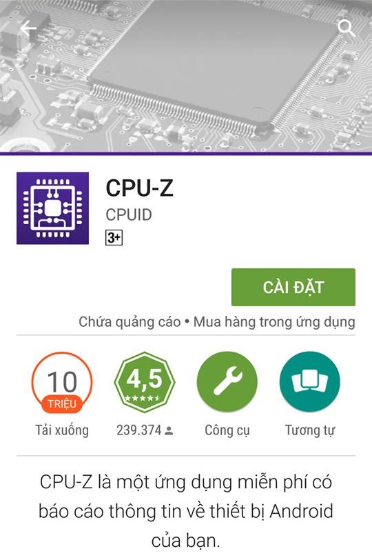 chip1
