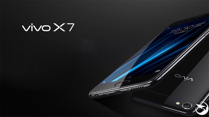 Vivo Vivo