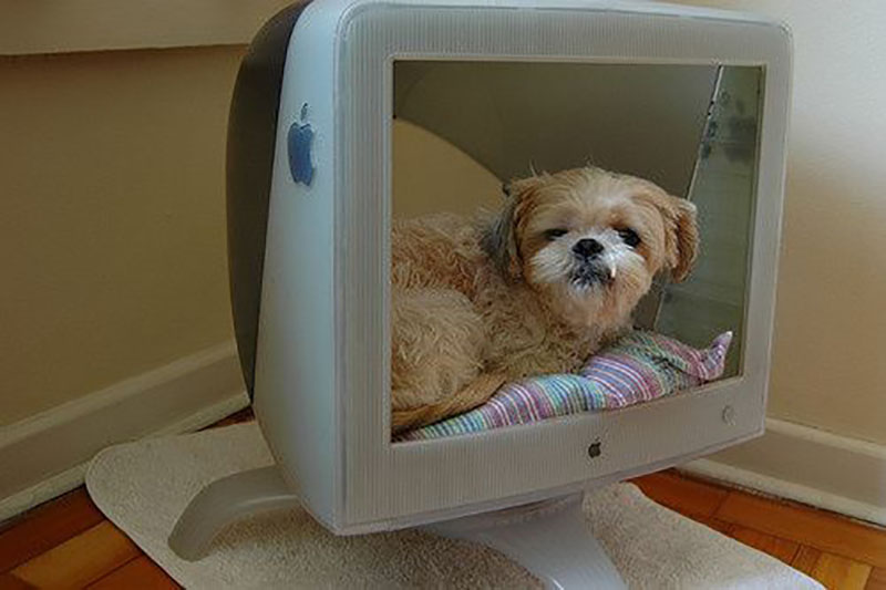 old-crt-pets old-crt-pets