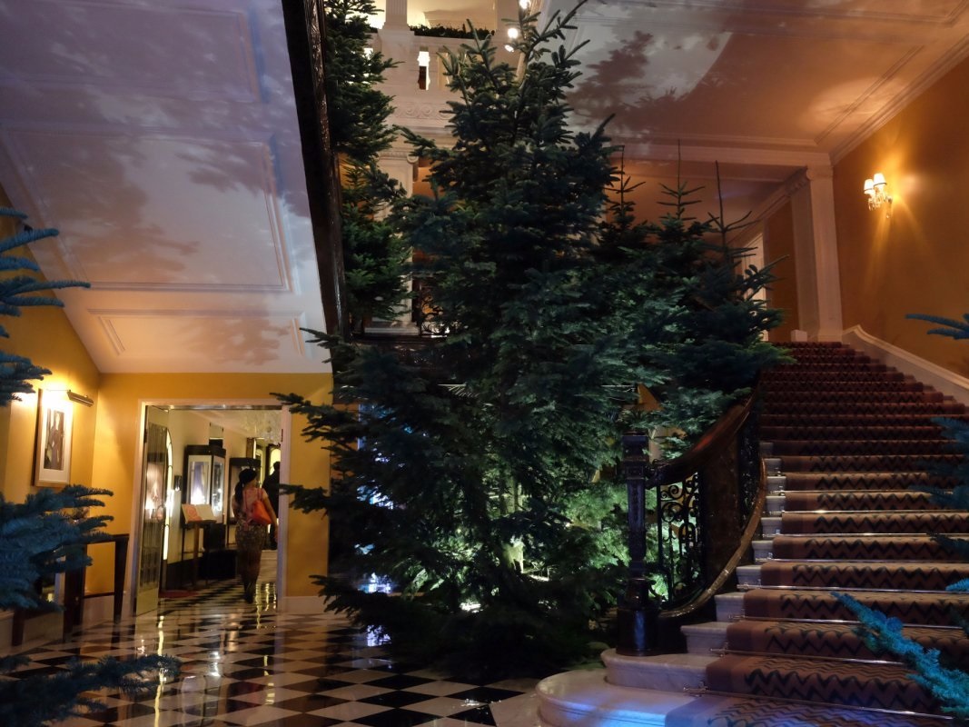 Khách sạn Claridge's tại London với những cây Giáng sinh do Jony Ive thiết kế