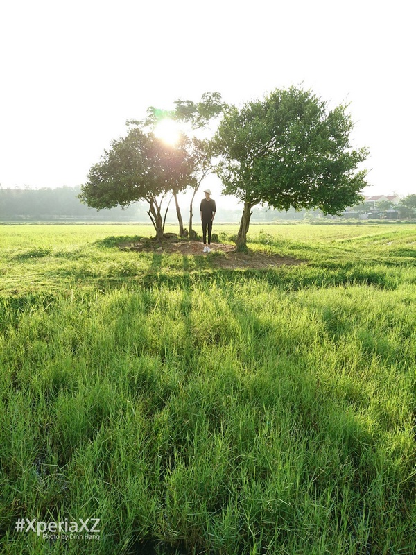 Hoài Phố, Hội An