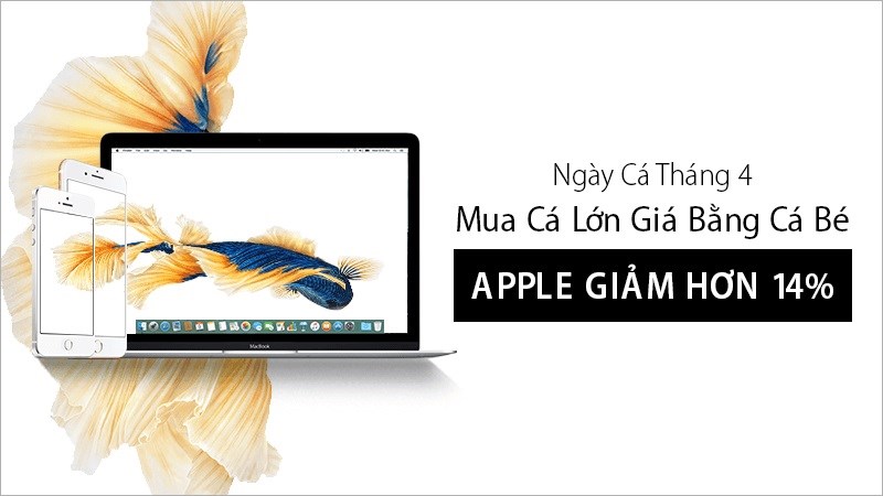 ảnh bìa ảnh bìa