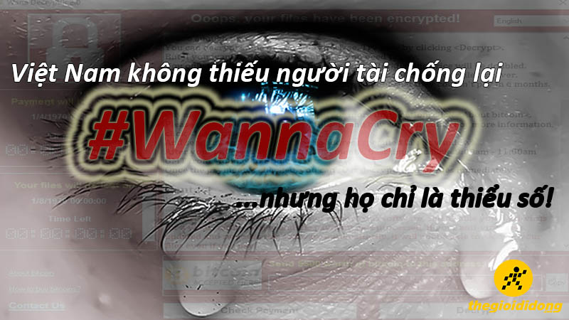 Việt Nam không thiếu người tài chống lại Wanna Cry nhưng họ quá ít so với số còn lại