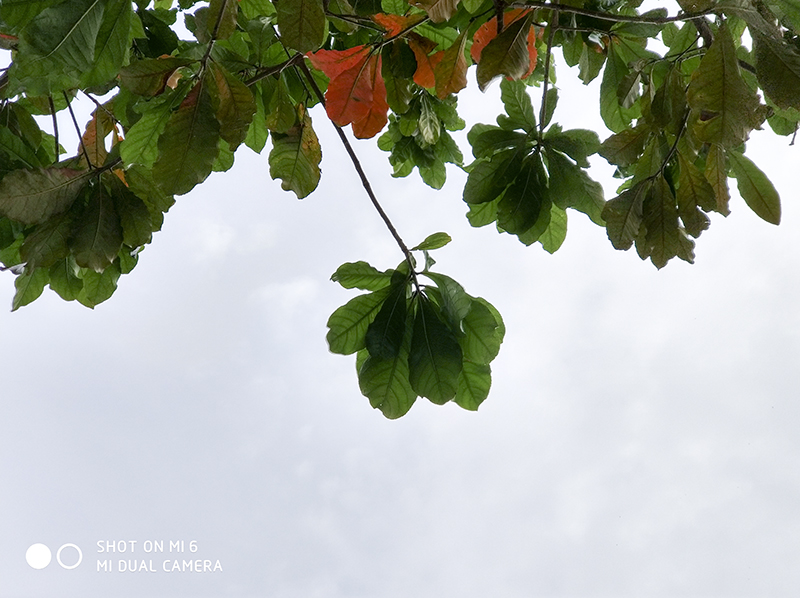 Đánh giá chi tiết camera Xiaomi Mi 6 Đánh giá chi tiết camera Xiaomi Mi 6