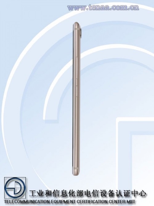 Vivo Vivo