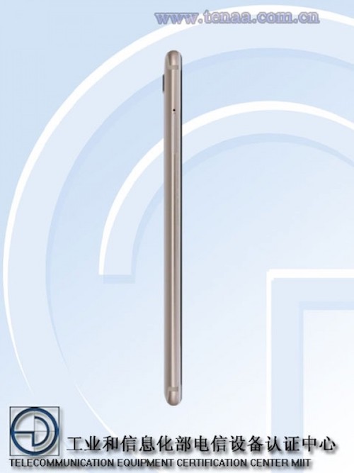 Vivo Vivo