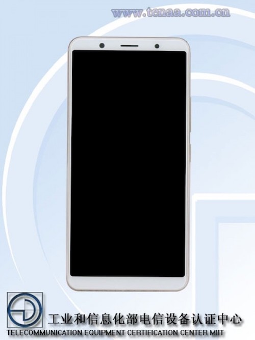 Vivo Vivo
