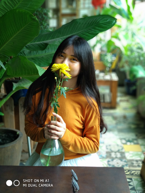 Xiaomi Mi A1 camera test Xiaomi Mi A1 camera test